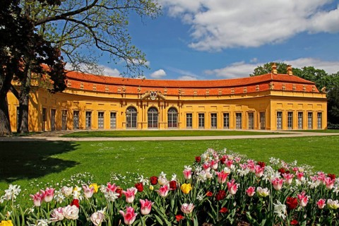 Palace Garden