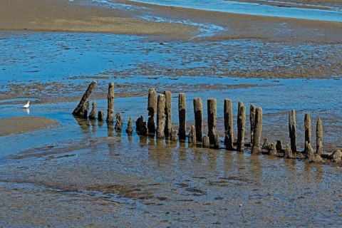 Alte groyne