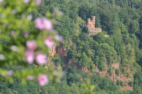 View of Schadeck Castle or Swallow's Nest with rock cliffs in Neckarsteinach