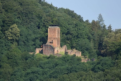 Hinterburg in Neckarsteinach