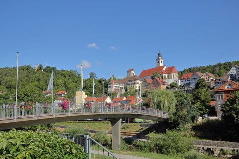 Townscape with raft footbridge in Horb am Neckar