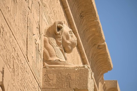 Lion-headed gargoyle