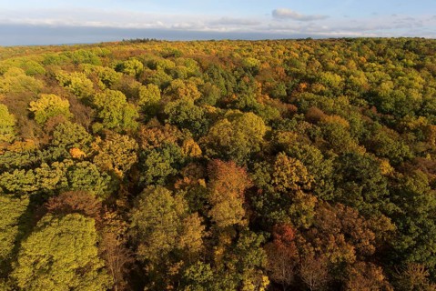 Steigerwald Erfurt