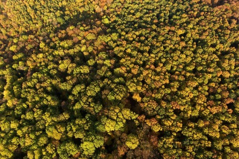 Autumn atmosphere