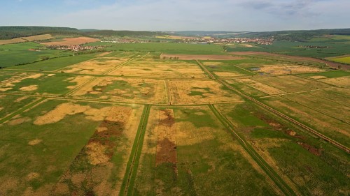 Esperstedter Ried