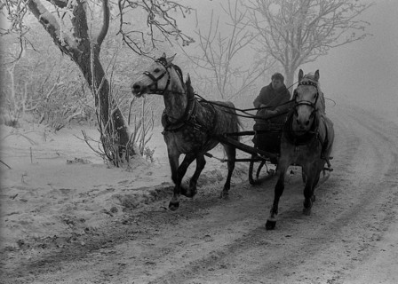 CSSR