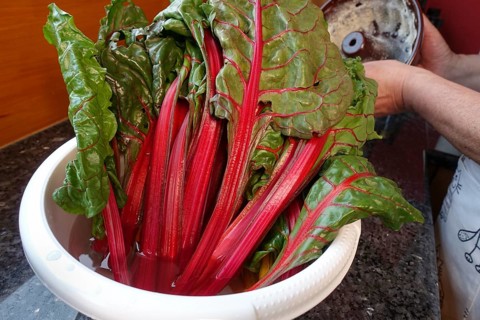 Beetroot