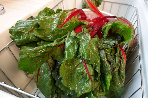 Beetroot