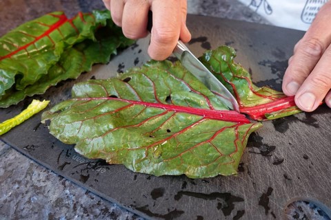 Beetroot