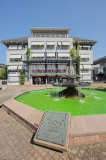Town hall with town coat of arms and fountain with green water at Leopoldsplatz in Eberbach