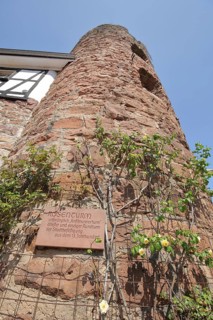Historic Rose Tower with view upwards in Eberbach