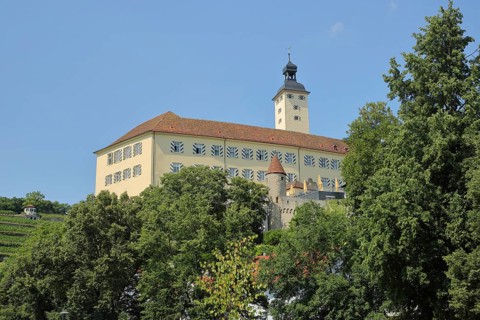 Horneck Castle in Gundelsheim