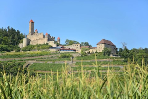 Hornberg Castle built 11th century in Neckarzimmern