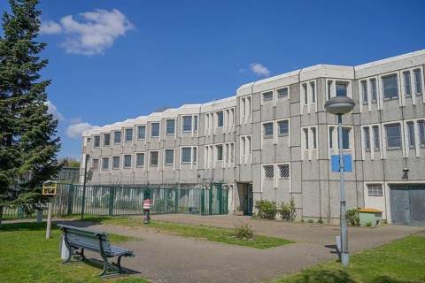 Cells