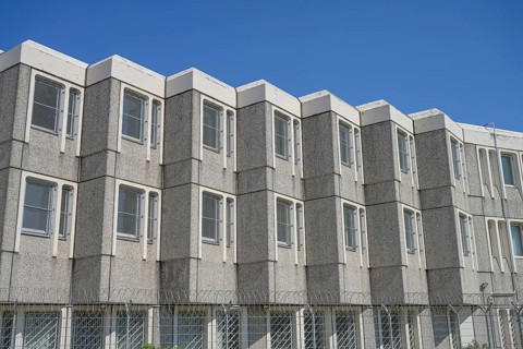 Cells