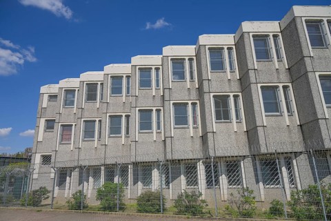 Cells