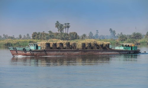 Transport ship sugar cane