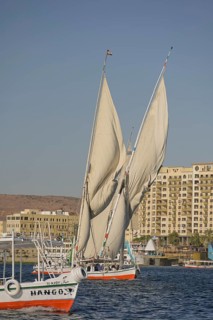Sailing boats