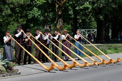 Alphorn players