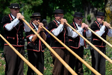 Alphorn players