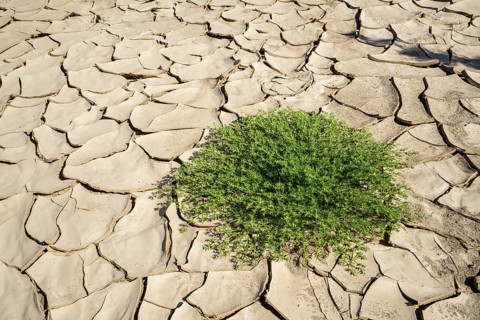 Symbolic image
