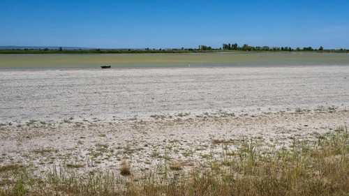 Heavily dried out Darscho or Warmsee