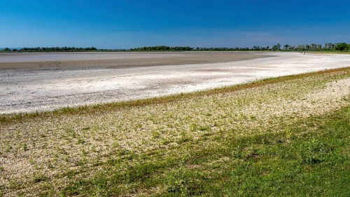 Heavily dried-up Zicksee