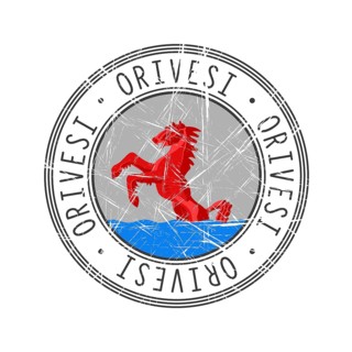 Orivesi city