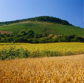 Stromberg