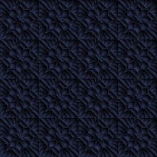 Geometric star pattern