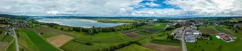 Triboltingen
