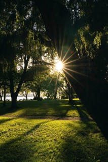 Light atmosphere in Mettnaupark