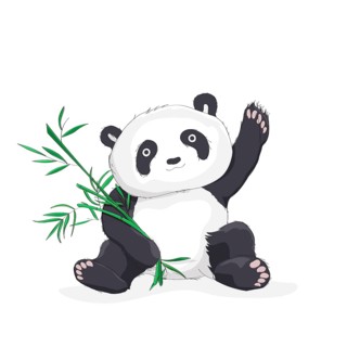 Vector sketch illustration of a panda bear waving hello and holding bamboo leaves