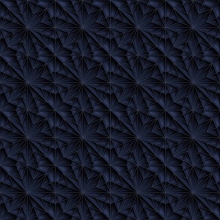 Geometric star pattern
