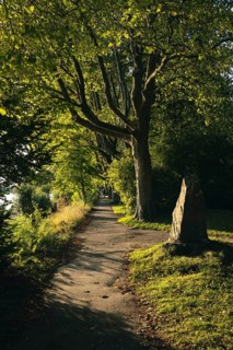 Light atmosphere in Mettnaupark