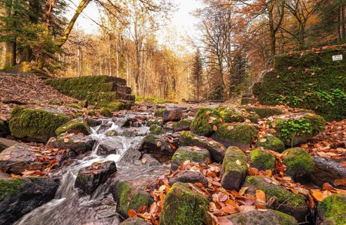 Landscape photograph of a small stream with stones and leaves in autumn