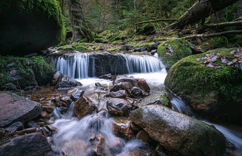 Long exposure of a small waterfall in the forest
