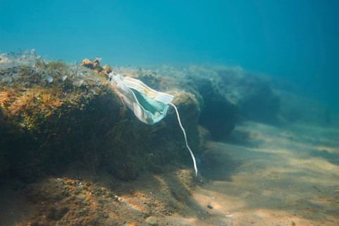 An old covid mask lying on the sea floor