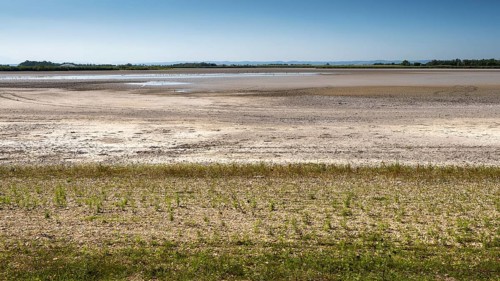Heavily dried-up Zicksee