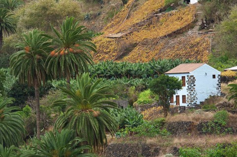Farmhouse