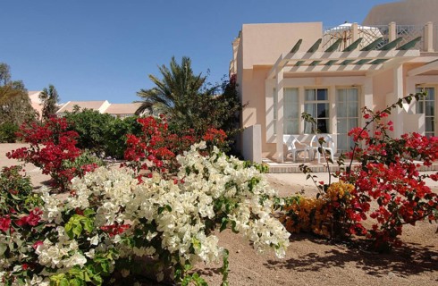Hotel Bungalow