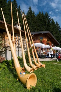 Alphorn blowers
