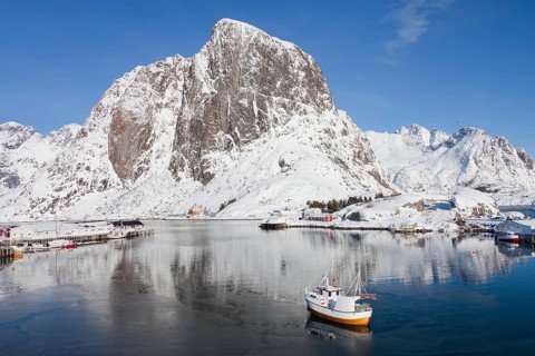 Fishing boat in Hamnoy harbour