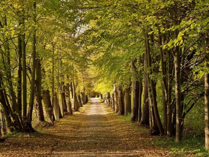 Klopstockweg