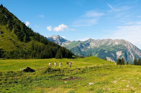 Willersalpe