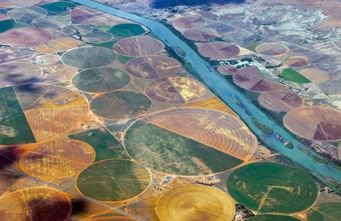 Irrigation of fields on the Orange River in South Africa