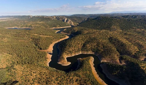 Dehesa