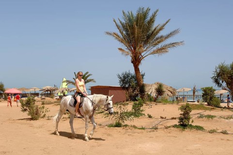 Young woman riding a horse