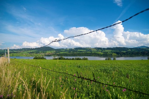 Rottachsee