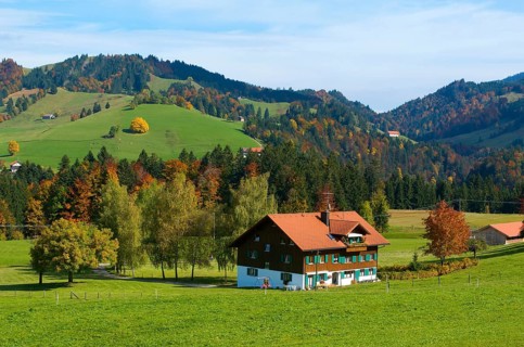 Farm near Oberstaufen